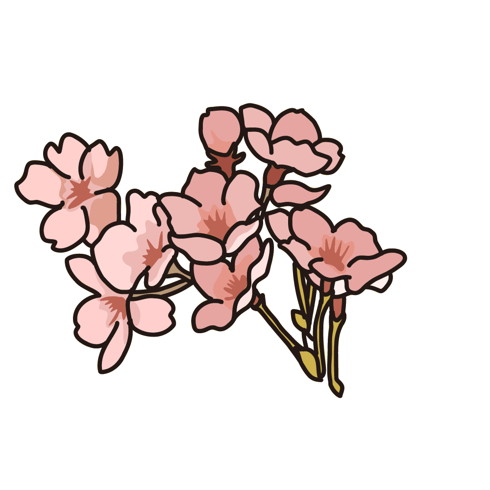 Cherry blossom petals sliding on a snowfield's img