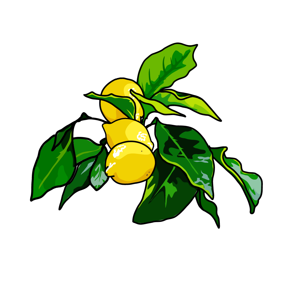 Mango of Sadness's img